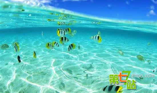 中国十大最佳旅游城市 你已经去过几个？