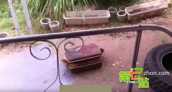 这块臭石头竟价值数百万：在古代只有皇帝能享用