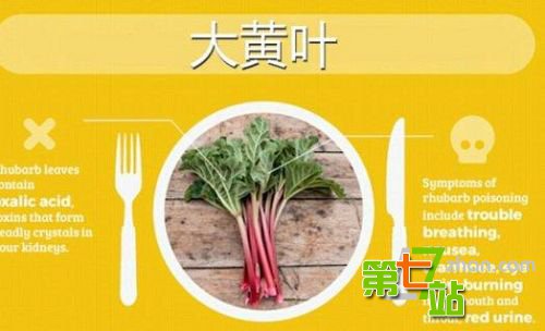世界上最危险的17种有毒“常规性”食物！
