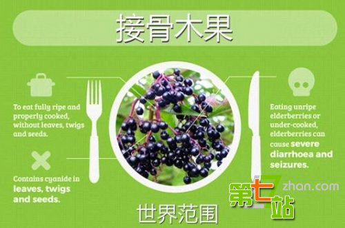 世界上最危险的17种有毒“常规性”食物！