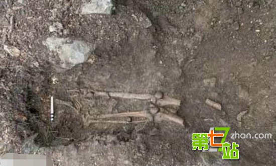 古树吹倒惊现遗骨 世界十大神秘事件盘点