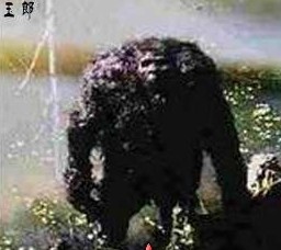 未解之谜：央视曝光罗布泊秘密