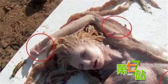 世界十大凶猛的淡水鱼：这是要吃人的节奏